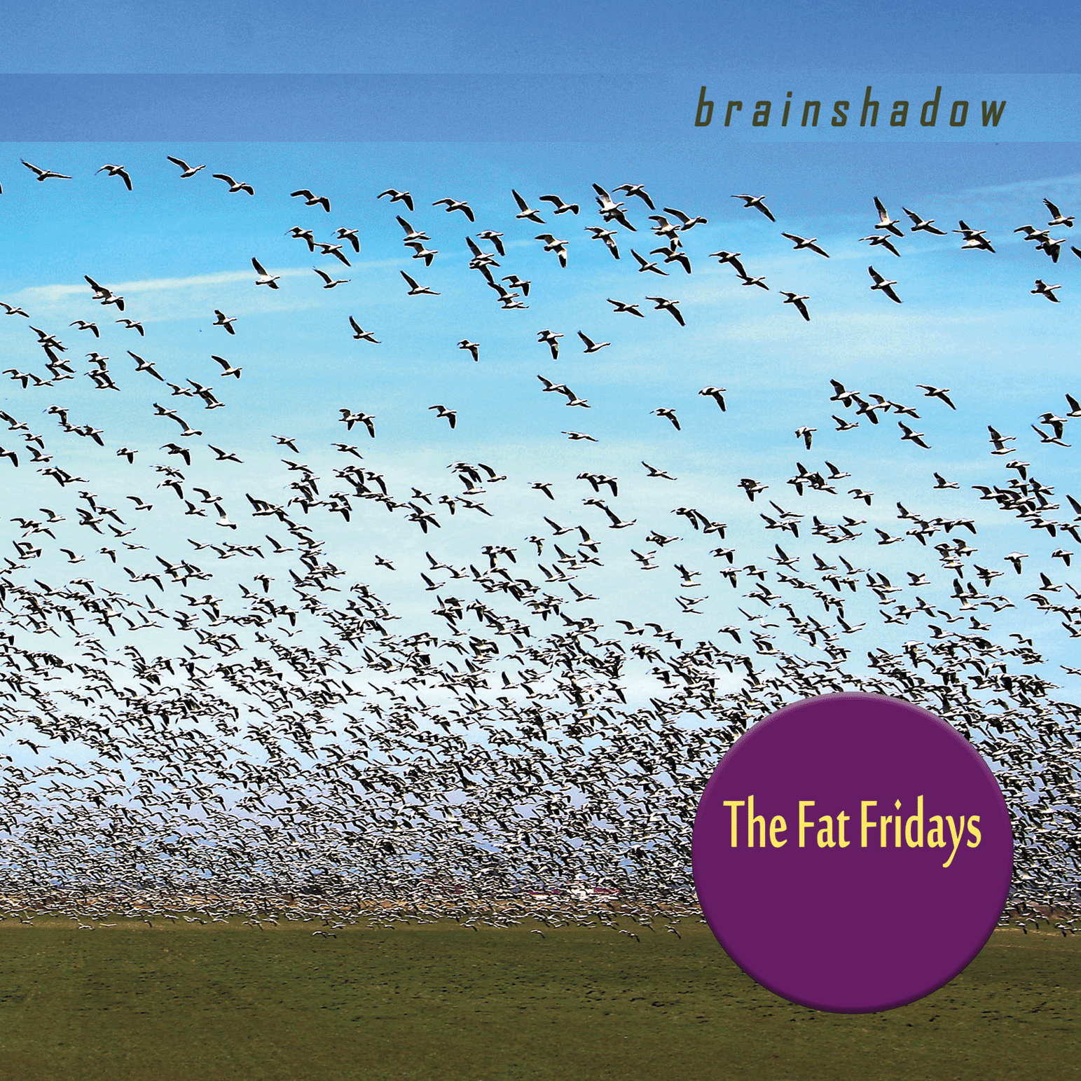 The Fat Fridays - Brainshadow CD image