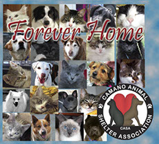 Click to purchase from CASA